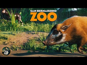 Building an African Mixed Habitat in Franchise Mode! | San Bernardino Zoo | Planet Zoo