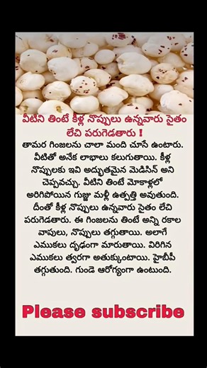 🌿 Lotus Seeds (Makhana) Health Benefits | Why You Should Eat Fox Nuts Daily!