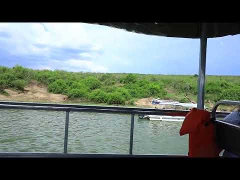 A safari by boat in Uganda