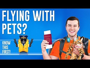 Flying with Pets? In-Cabin vs Cargo Explained for U.S. Airlines (2025 Guide)
