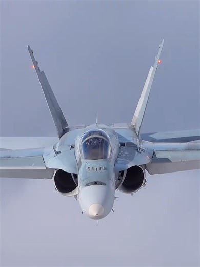 FA18 加拿大CF-188A 与 CF-188B 机型解析