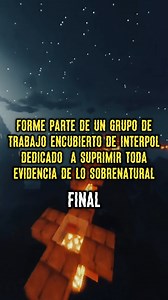 Formé parte de un grupo encubierto de INTERPOL pt.2 | Historias con Whifly
