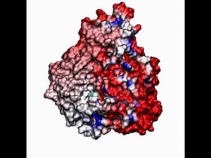 Finding a Pathway for Flu Drugs
