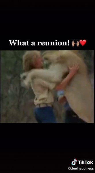 Christian the lion reunited with his Bestfriends!❤️ #lion #happy #fyp #foryou