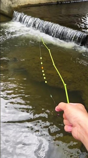 How to Catch Big Fish with Mini Rod | Easy River Fishing Method #fishing #shortvideo