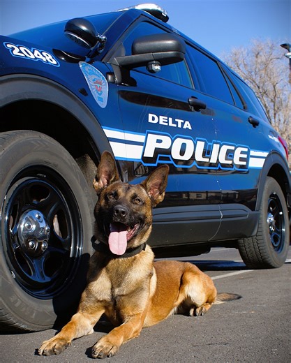 Delta Police Department welcomes new Dual Purpose K9