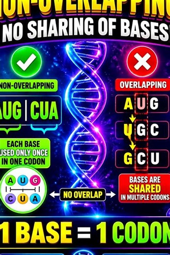 🧬 Why is Genetic Code Non-Overlapping? | NEET Biology