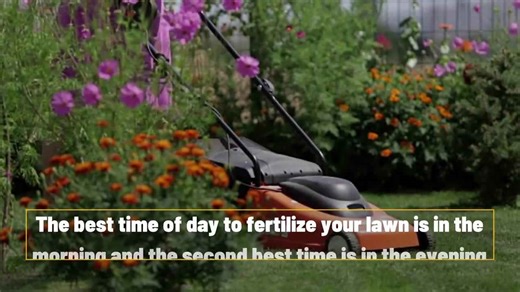 How Often Should Your Lawn Be Fertilized?
