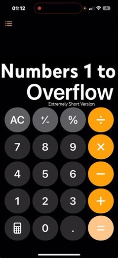 Numbers 1 to Overflow (Extremely Short Version)