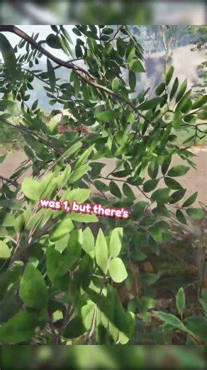 NEVER trust those STINKY'S 🤣 #theisle #funny #gaming #adhd #gamer #dinogame #thyfuzzy #indubitably