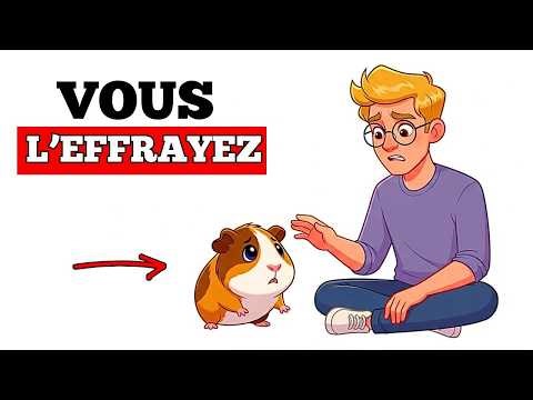 Pendant cinq mois, votre cochon d'Inde perd confiance en vous... sans que vous le remarquiez