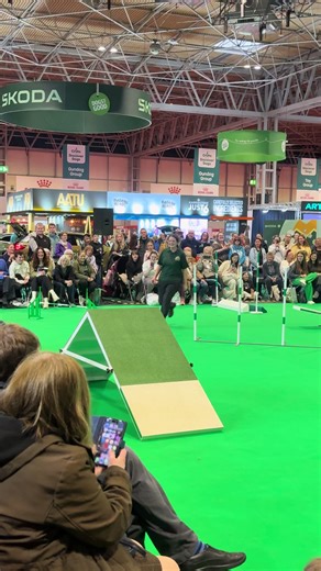 My personal favourite at crufts #crufts @Crufts