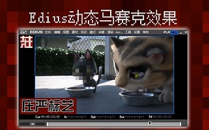 [原创]Edius动态跟踪马赛克效果[视频编辑][实例教程]