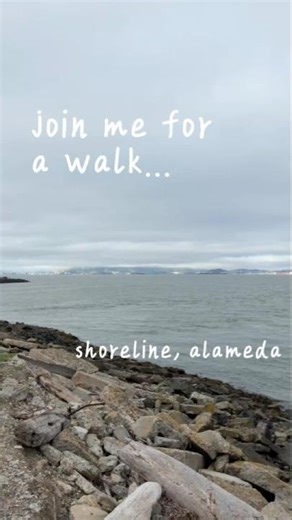Lovely walk along the Alameda shoreline