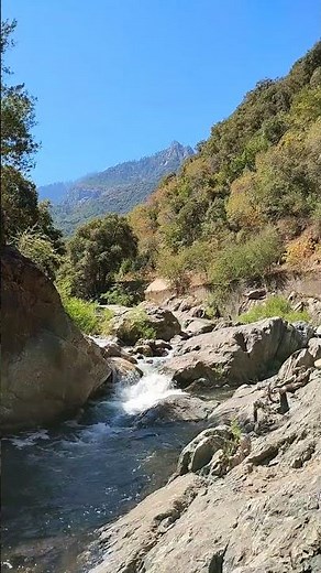 Sequoia National Park Three Rivers California #bloggingfromparadise #travel #nationalpark