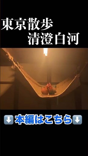 【清澄白河】歴史散歩とグルメ。清澄庭園、深川江戸資料館、漁師が愛した絶品「深川めし」#清澄白河 #歴史散歩 #清澄庭園 #深川江戸資料館 #深川めし #東京観光 #vloggers