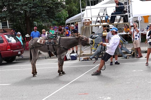 Where to watch pack burro racing in Colorado for summer 2025