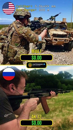 🇺🇸 M4A1 VS 🇷🇺 AK12 | Cost Comparison