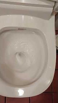 Panasonic CH1401 WSGN アラウーノ SⅡ 洋式便座 Toilet Geek トイレ探求