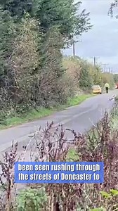 Helicopter crashes in Doncaster as emergency services rush to scene 🚨 | Yorkshire Live