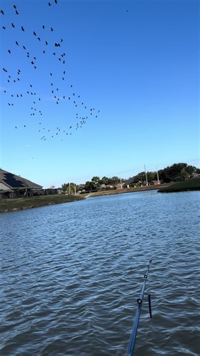 Jack Cross (@jacksoncrosssouthtexas)’s videos with original sound - Jack Cross