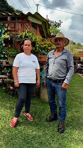Consejos que harán cambiar la forma de amar tus plantas. • • • #plantas #Garden #jardin #consejos #plantastropicales #colombia #jardineria | Aventura Paisajística