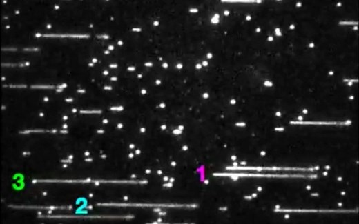 最直观感受DNA复制现场 实时成像