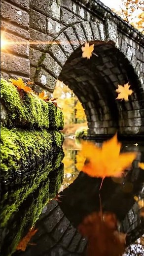 The Devil's Bridge #travel