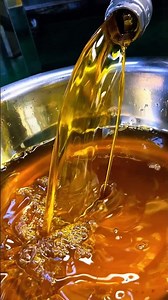6YL-215 screw oil press machine to cold press mustard oil with vacuum oil filter #oilpress #factory