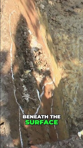 Megiddo: Unearthing Ancient Secrets in Israel's Historic Plains