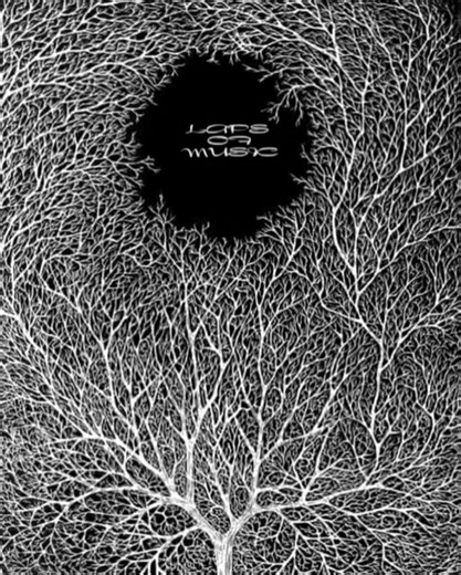 205K views · 8.1K reactions | Black Is Black Los Bravos | Laps of music | Facebook