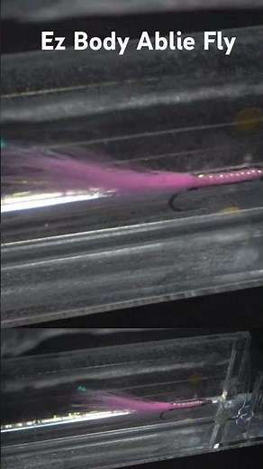 The EZ Body Albie fly. #flytying #saltwaterflies