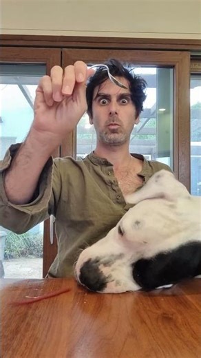 Bending a Spoon with the Power of the Mind#telekinesis #mindpower #spoonbending #magictrick #illusio