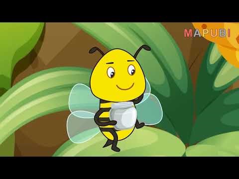 Chú Mèo Con, Con Chim Non, Chú Voi Con Ở Bản Đôn - Nhạc Thiếu Nhi Vui Nhộn Hay Nhất - MaPuBi