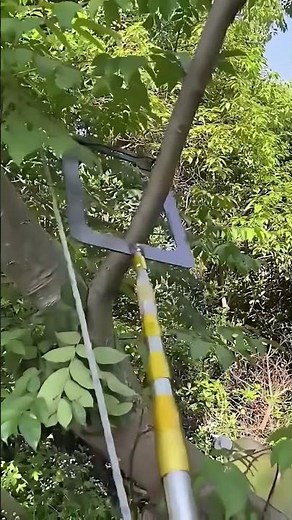 How to Tie High Tree Branches Easily | Clever Gardening Tool