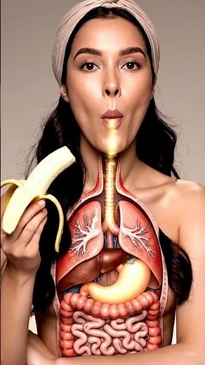 What Happens INSIDE a Woman’s Gut When She Eats a Banana? 🍌 | 3D Animation Journey