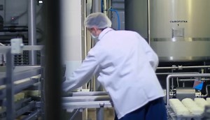 Human Teeth Found in Food: China’s Shocking Food Safety Scandal