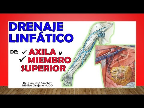 🥇 LYMPHATIC DRAINAGE of the UPPER LIMB and AXILLA. Axillary Ganglia.