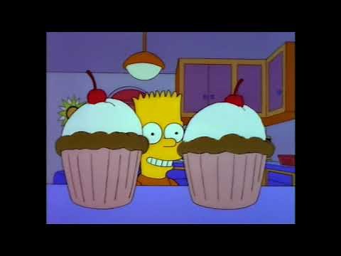 Is My Brother Dumber Than A Hamster?