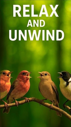 Real Bird Sounds in 4K | No Music Nature Ambience for Sleep, Focus & Relaxation