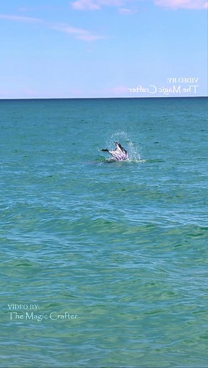 4.6M views · 29K reactions | A mermaid among the waves of the Great...