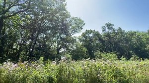 Come along with Notes on Iowa to explore the history of Geode State Park! Located along the Skunk River between Mt. Pleasant and Burlington, Iowa, in Henry County, a 1,640-acre state park holds natural and historic treasures. | Notes on Iowa