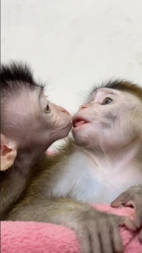 "The Sweetest Bond! Baby Yumi Kisses Cici Like She's Her Mom. 💖"