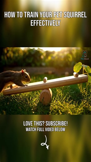 How to Train Your Pet Squirrel Effectively #level #up #your #squirrel's #training #how #to #train #pet #squirrel #effectively | Pets Bunch