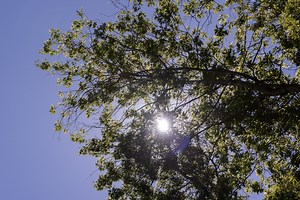 Air quality advisory issued for Portland, Multnomah and Clackamas counties