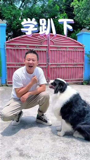Master Dog Training in 3 Easy Steps: A Must-Watch for Pet Lovers