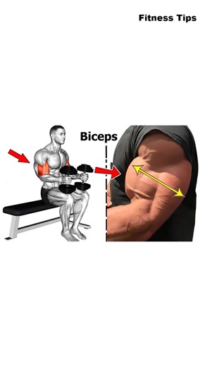 How To Get Bigger Biceps 🔥 #exercise #fitness #workout #fit #gym | Fitness Tips