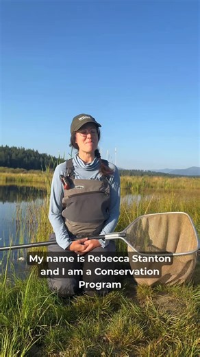 Wilder Institute on Instagram: "Get to know our conservation program supporting northern leopard frogs—helping them leap toward recovery! 🌿🐸 The northern leopard frog may be small, but it plays a mighty role as an indicator of healthy wetlands. While the species remains common in parts of North America, the Rocky Mountain population is endangered due to habitat loss, invasive species, disease, and the growing threat of plastic pollution. Through conservation breeding and head-starting, we rais