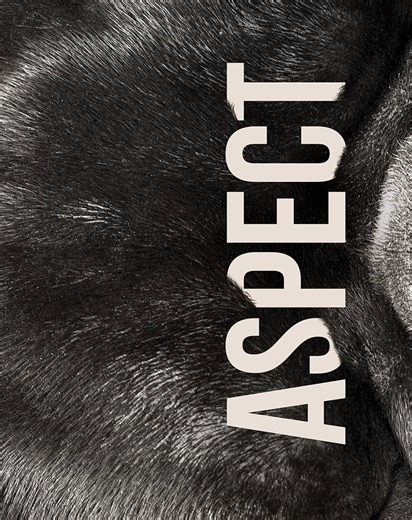 dig_studio-aspect_hover