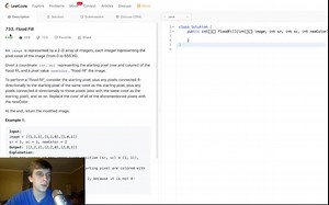 LeetCode 733. 洪水填充（算法说明）
